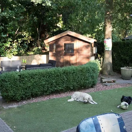Chalet Vakantie Wageningen Veluwe Exterior photo